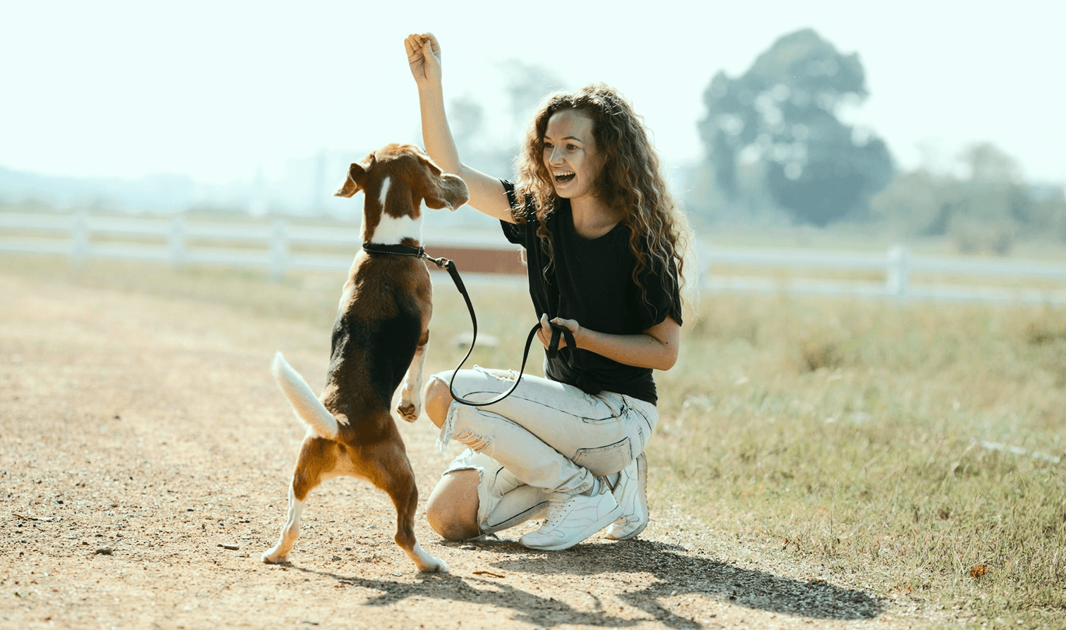 Dog training